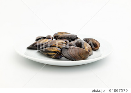 ムール貝 貝 シーフード 64867579