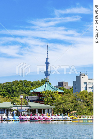 東京都 上野恩賜公園 不忍池 東京スカイツリーの写真素材