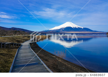 山中湖畔の木道から富士山（逆さ富士） 64869607