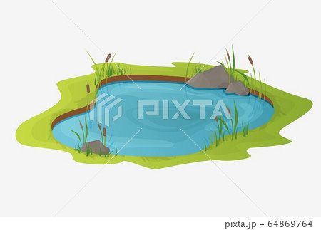 Picturesque water pond with reeds. The concept of an open small swamp Picturesque water pond with reeds. The concept of an open small swamp 64869764