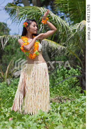 hawaii hula dancer in tropical nature hawaii hula dancer in tropical nature 64871376
