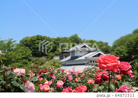 かわら館のバラ園 64871511