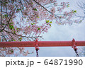 桜とブランコと公園 64871990