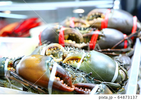 市場 市場 64873137