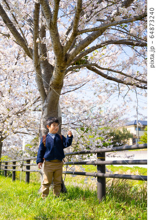男の子　春　桜　ランドセル 64873240