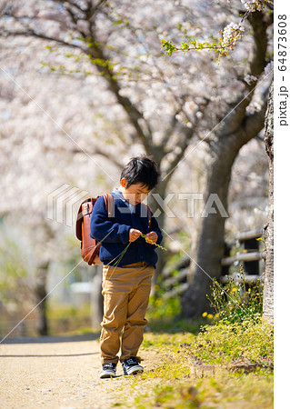 男の子 春 桜 ランドセル 男の子 春 桜 ランドセル 64873608
