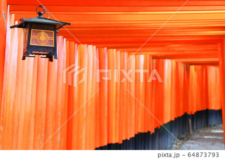 京都 京都 64873793