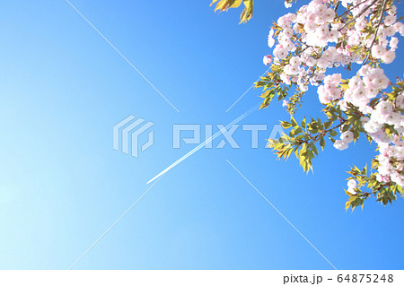 飛行機雲と一葉桜　栃木県さくら市　氏家駅 64875248