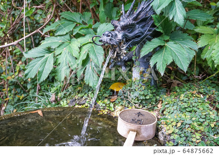 東叶神社　身代わり弁天　お手水 64875662