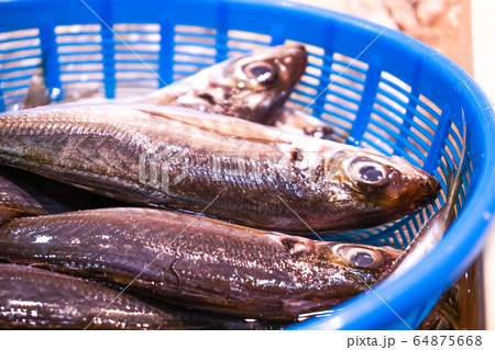 魚市場のアジ 64875668