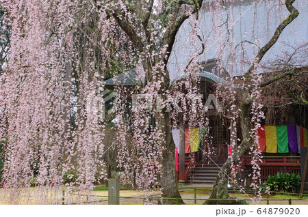 栄福寺(千葉市) 栄福寺(千葉市) 64879020