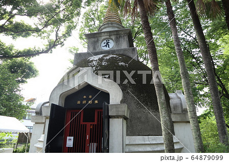 上野公園　上野大仏のパゴダ 64879099