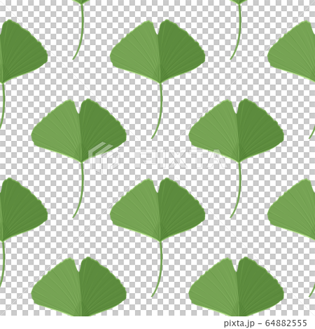 Seamless pattern with green ginkgo leaves. Natural simple background. 64882555
