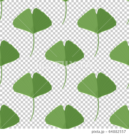 Seamless pattern with green ginkgo leaves. Natural simple background. 64882557