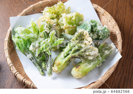 japanese traditional wild vegetable tempura with japanese traditional wild vegetable tempura with 64882566