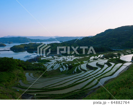 肥前町　大浦の棚田　夕方 64882764