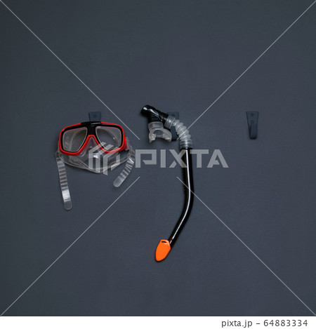 children's diving equipment on a gray background children's diving equipment on a gray background 64883334