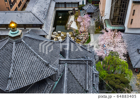 京都　六角堂頂法寺 64883405