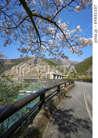 桜咲く奥多摩湖 桜咲く奥多摩湖 64885397