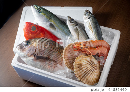 fresh japanese seafood in styrofoam box with ice fresh japanese seafood in styrofoam box with ice 64885440