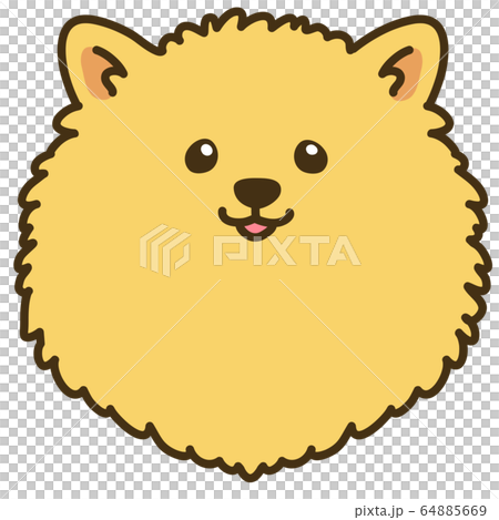 Hand-drawn illustration of a Pomeranian's face with main lines Hand-drawn illustration of a Pomeranian's face with main lines 64885669