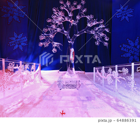 Ice Sculpture of cherry blossom tree, Winterlude Ottava, Canada Ice Sculpture of cherry blossom tree, Winterlude Ottava, Canada 64886391