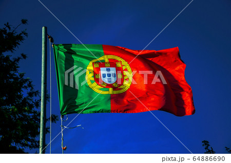 Portuguese flag fluttering in the blue sky 64886690