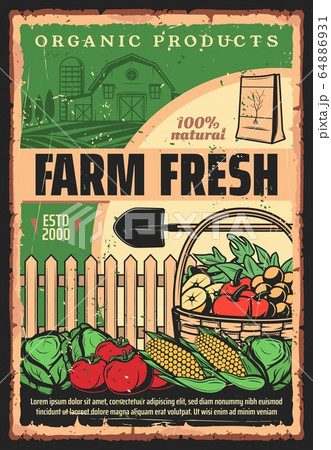 Organic farm products, vegetable and fruit harvest Organic farm products, vegetable and fruit harvest 64886931
