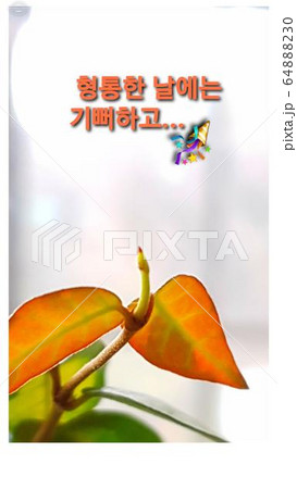 若葉 イラスト 文字 64888230