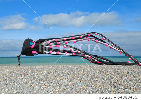 Octopus kites in the sky in ocean 64888455
