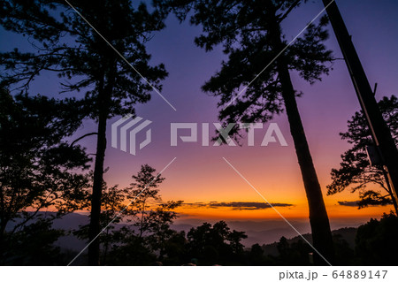 landscape of mountains , sunset ,pine tree 64889147