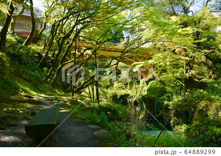 こおろぎ橋　山中温泉 64889299