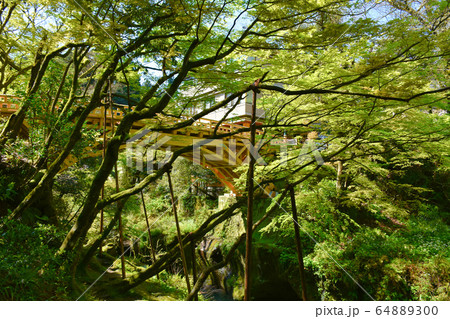こおろぎ橋 山中温泉 こおろぎ橋 山中温泉 64889300