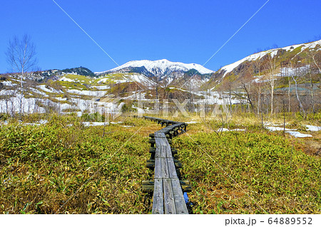 木道と残雪の本白根山 木道と残雪の本白根山 64889552