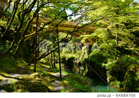 こおろぎ橋　山中温泉 64889700