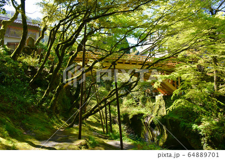 こおろぎ橋　山中温泉 64889701