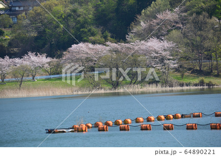 つくし湖に寄りました　　＃28 64890221