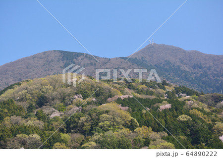 つくし湖に寄りました　　＃27 64890222