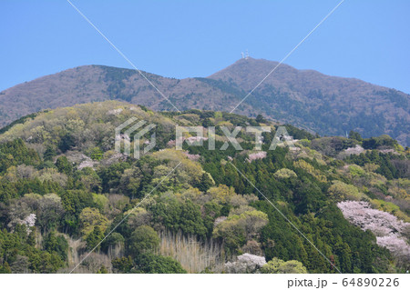 つくし湖に寄りました　　＃23 64890226