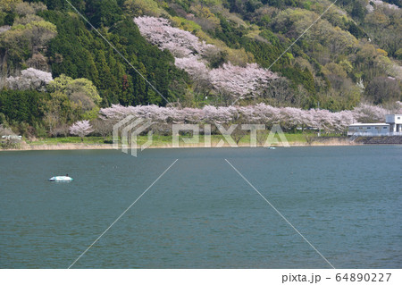 つくし湖に寄りました　　＃22 64890227