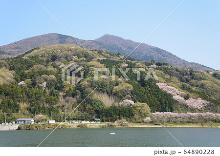 つくし湖に寄りました　　＃21 64890228