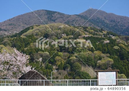 つくし湖に寄りました　　＃35 64890356