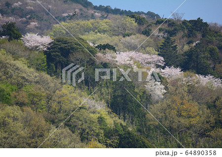 つくし湖に寄りました　　＃33 64890358