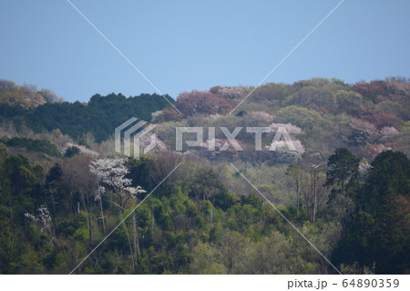 つくし湖に寄りました　　＃32 64890359