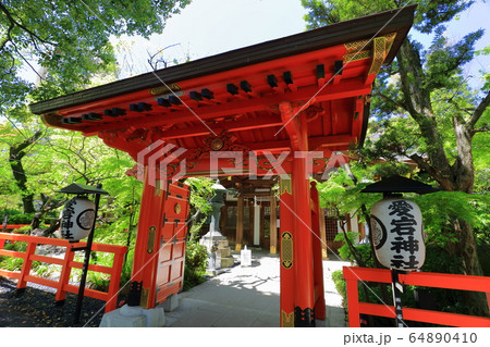 東京　愛宕神社 64890410