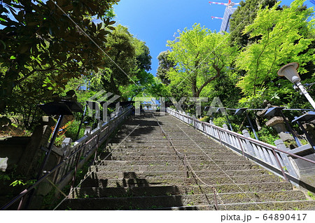 東京 愛宕神社 出世の石段 東京 愛宕神社 出世の石段 64890417