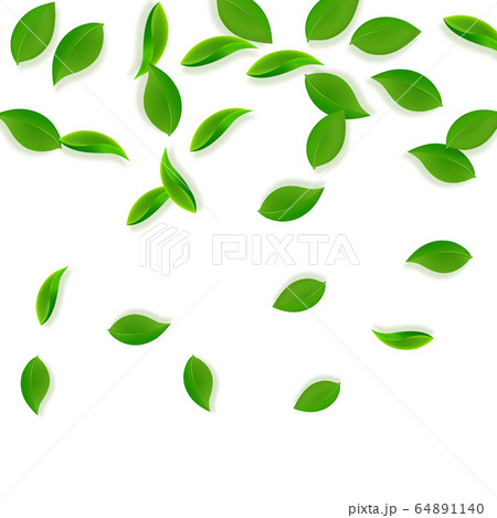Falling green leaves. Fresh tea neat leaves flying Falling green leaves. Fresh tea neat leaves flying 64891140