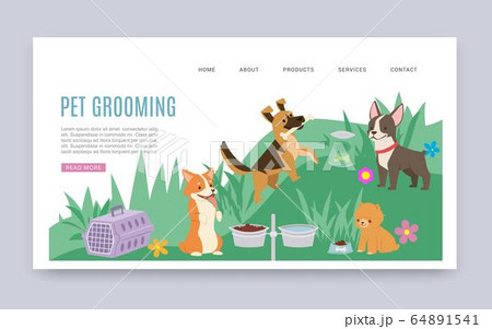 Pet grooming service and healthcare products cartoon web template vector illustration with dogs of different breeds. Pet grooming service and healthcare products cartoon web template vector illustration with dogs of different breeds. 64891541