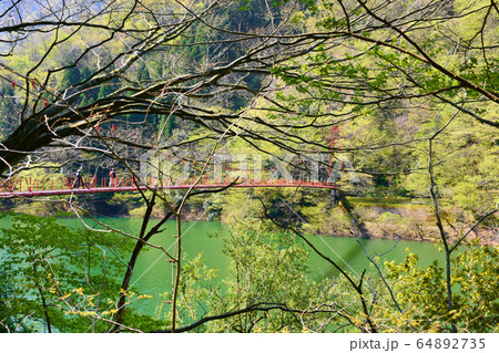 我谷吊橋　富士写ケ岳 64892735
