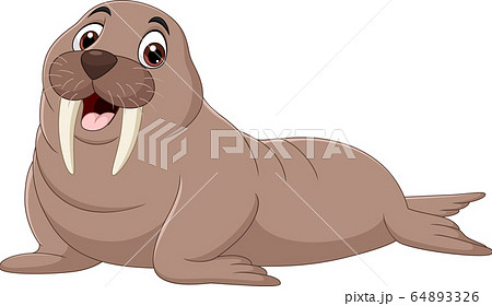 Cartoon walrus isolated on white background Cartoon walrus isolated on white background 64893326